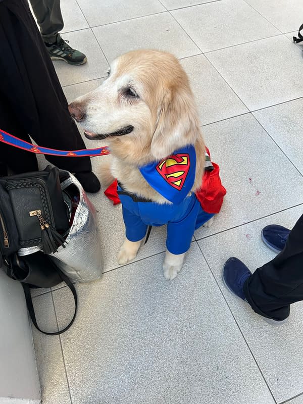 Superman x Milk-Bone: Elizabeth Tulloch on S&#038;L Krypto, Dogs &#038; More