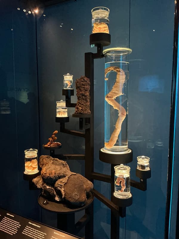 The Natural History Museum Does Alien Earth