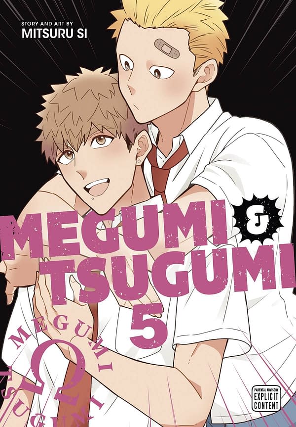 Cover image for MEGUMI & TSUGUMI GN VOL 05 (MR)