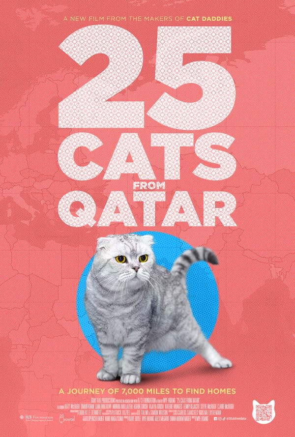 25 Cats from Qatar is an Epic Documentary about Cat Rescue