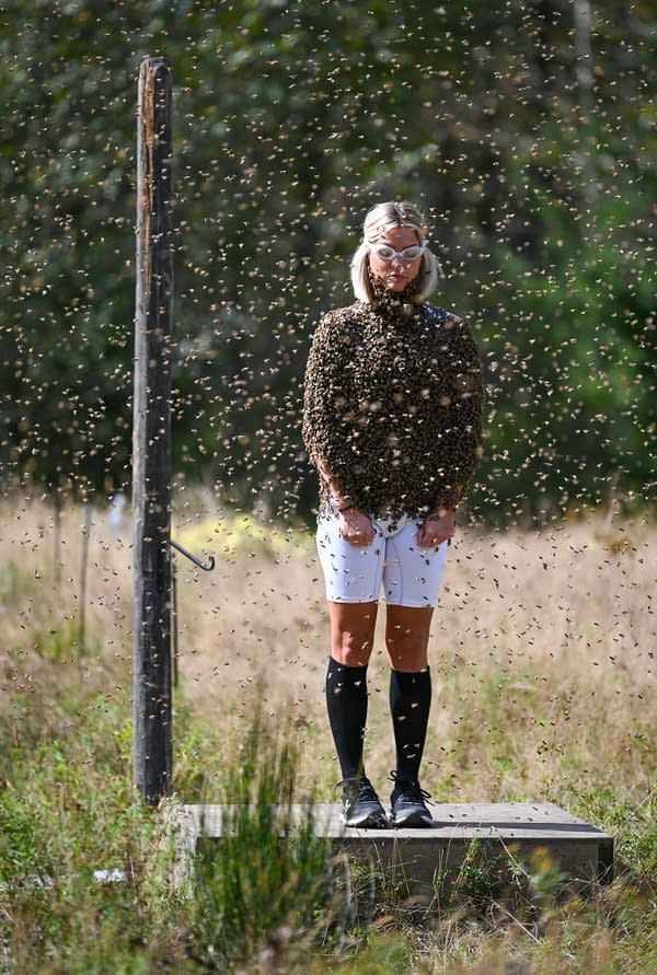 Fear Factor: 48 Hours of Fear
