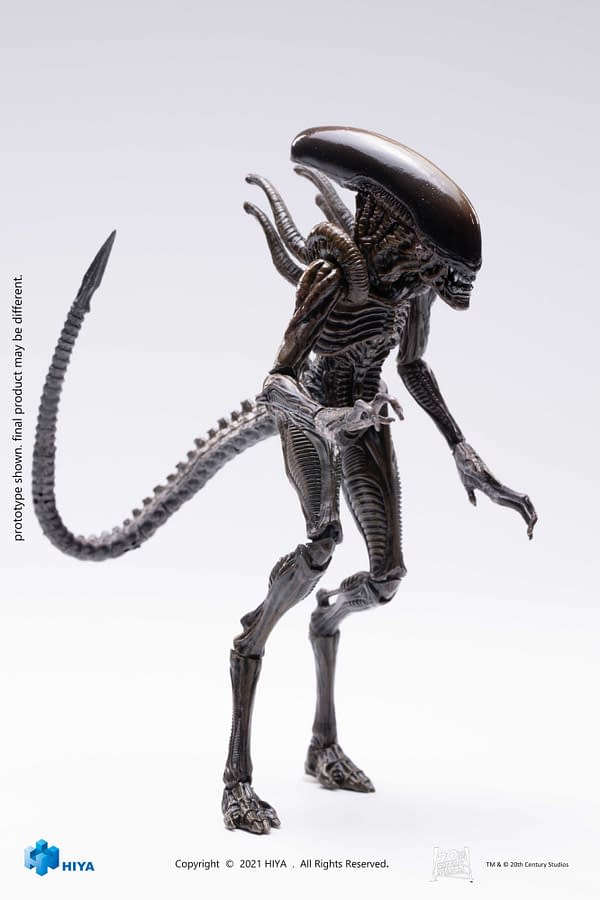 New Hiya Toys Alien Figures Arrive With Xenomorph and Ripley