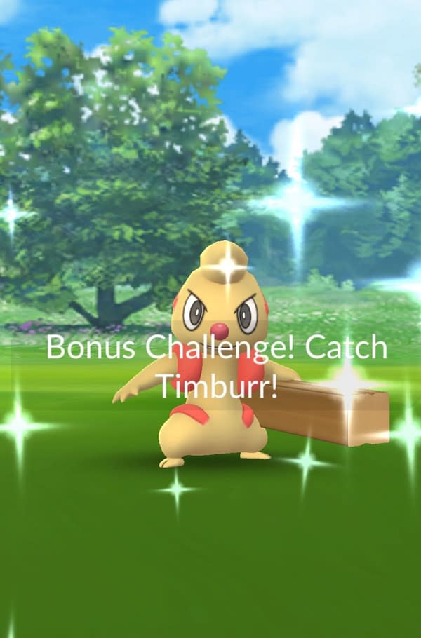 Shiny Timburr has a boosted rate in Pokémon GO. Credit: Niantic