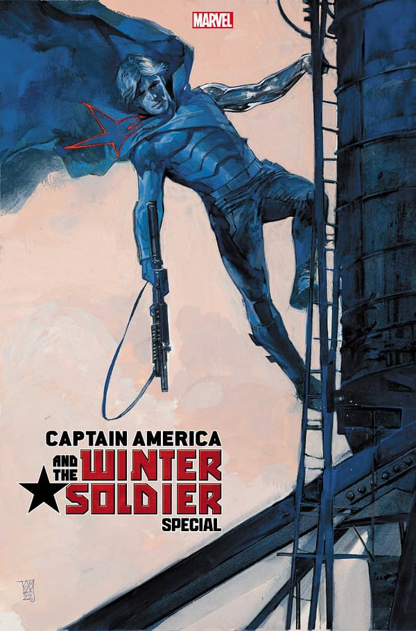 Cover image for CAPTAIN AMERICA & THE WINTER SOLDIER SPECIAL 1 MALEEV VARIANT