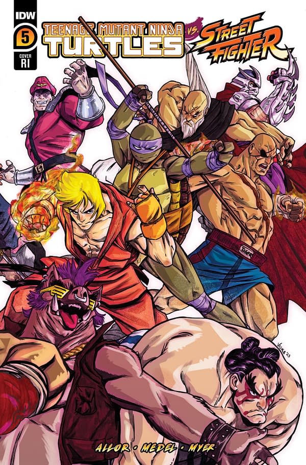 Cover image for Teenage Mutant Ninja Turtles Vs. Street Fighter #5 Variant RI (25) (Federici)