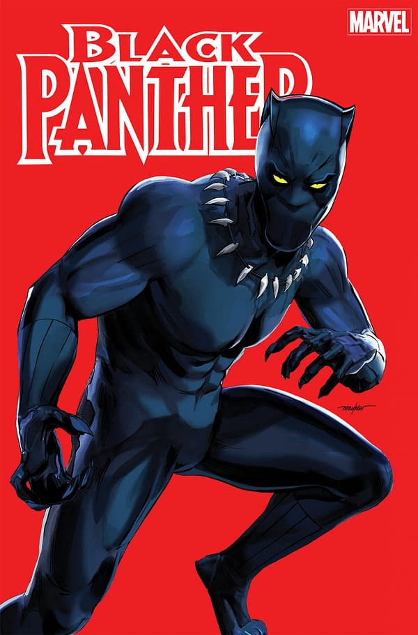 Cover image for BLACK PANTHER 2 MIKE MAYHEW VARIANT