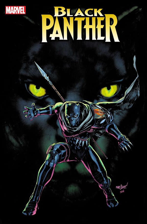 Cover image for BLACK PANTHER 5 DAVID MARQUEZ VARIANT