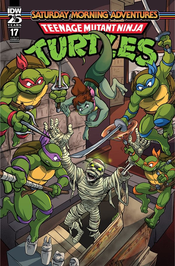 Cover image for TMNT: SATURDAY MORNING ADVENTURES CONT. #17 SARAH MYER COVER