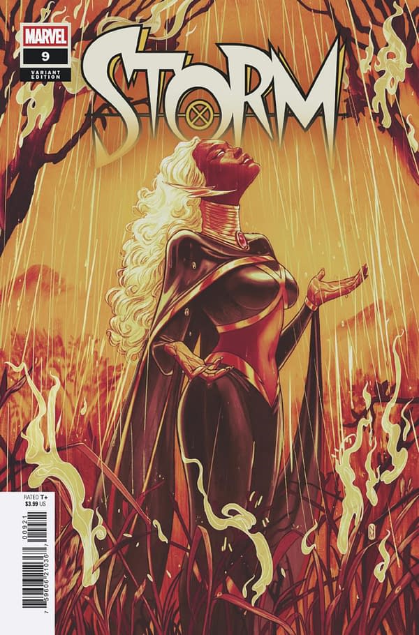 Cover image for STORM #9 NIMIT MALAVIA VARIANT