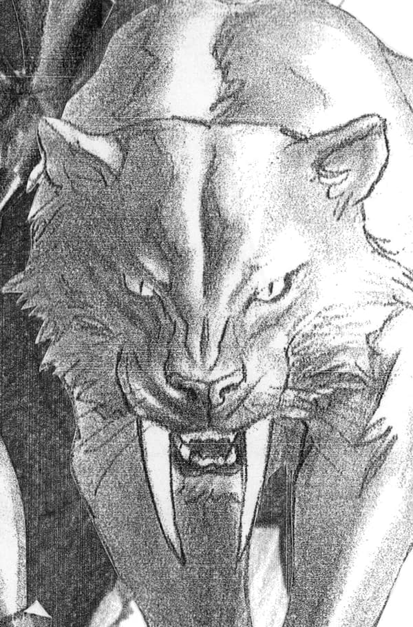 Cover image for BLACK CAT #2 ALEX ROSS TIMELESS VIRGIN SKETCH VARIANT