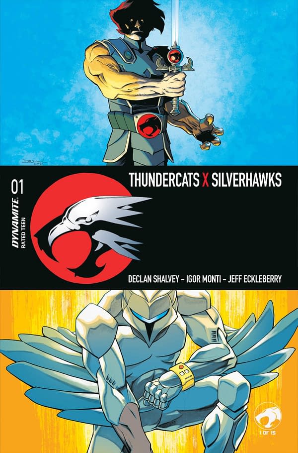 Cover image for Thundercats x Silverhawks #1