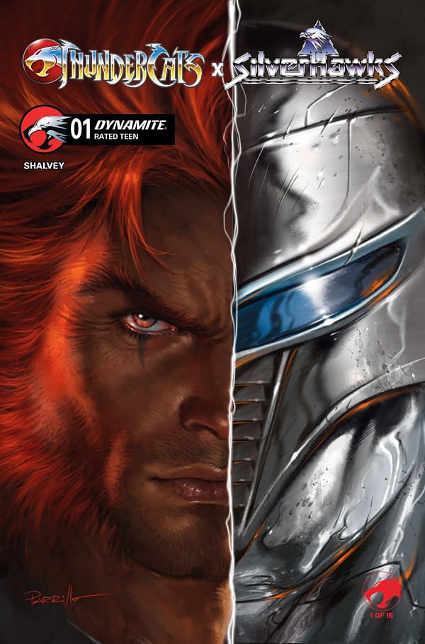 Cover image for Thundercats x Silverhawks #1