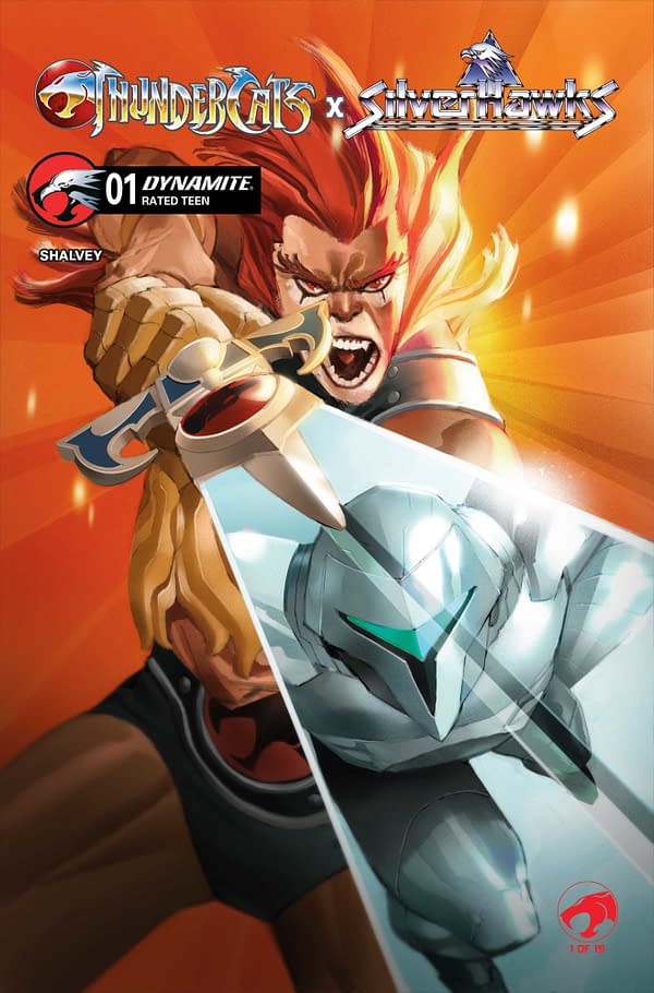 Cover image for Thundercats x Silverhawks #1