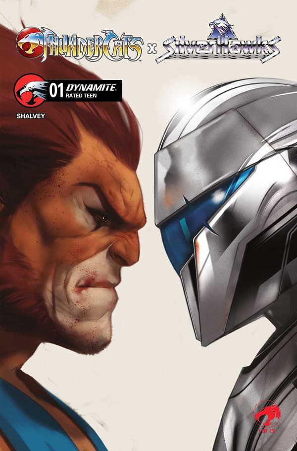 Cover image for Thundercats x Silverhawks #1