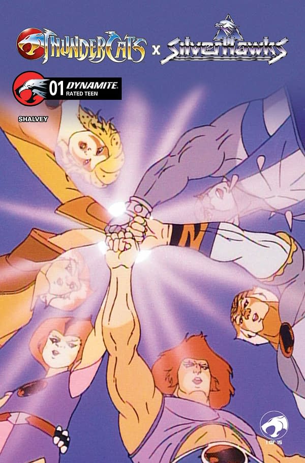 Cover image for Thundercats x Silverhawks #1