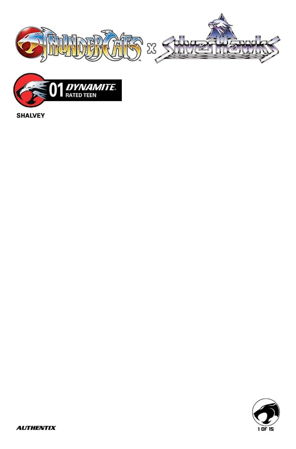 Cover image for Thundercats x Silverhawks #1