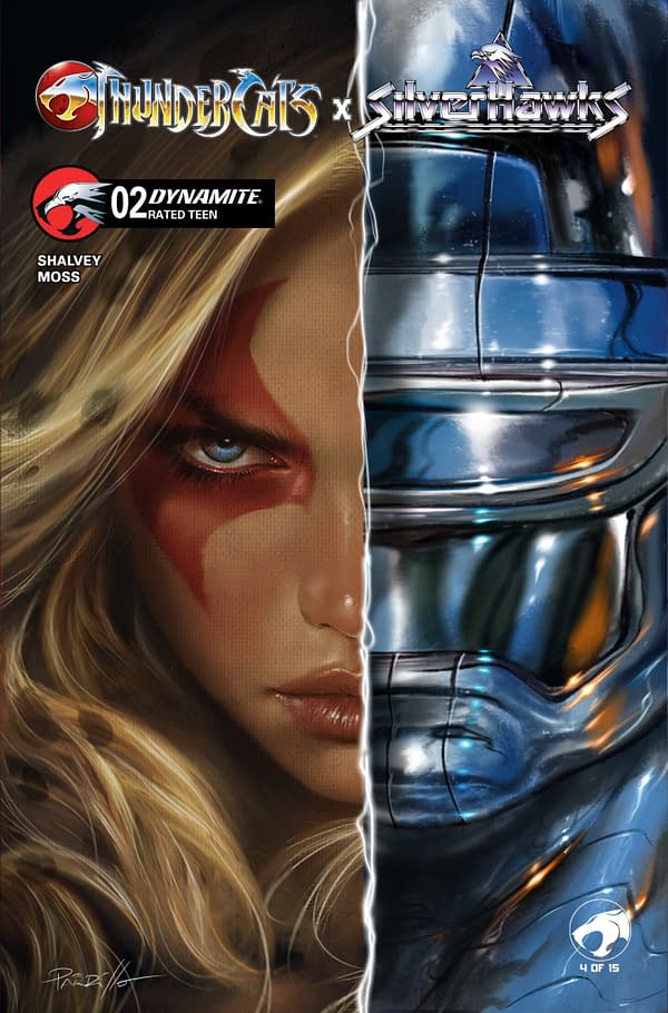 Cover image for ThunderCats x SilverHawks #2
