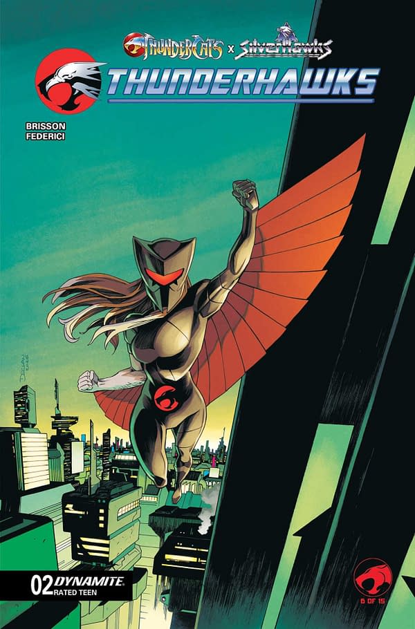 Cover image for ThunderCats x SilverHawks: Thunderhawks #2