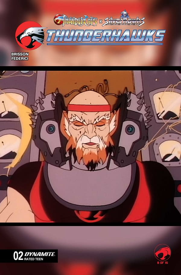 Cover image for ThunderCats x SilverHawks: Thunderhawks #2