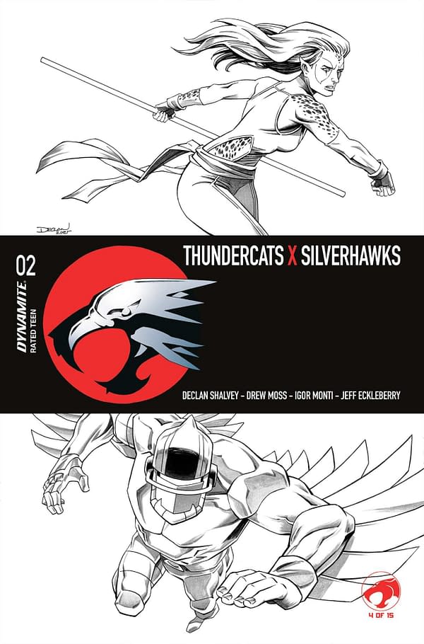Cover image for ThunderCats x SilverHawks #2