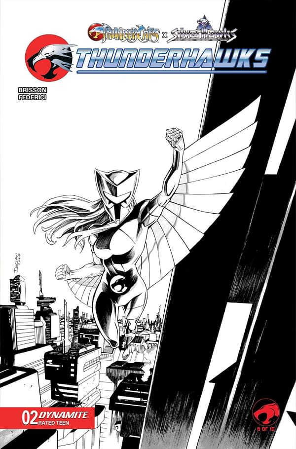 Cover image for ThunderCats x SilverHawks: Thunderhawks #2