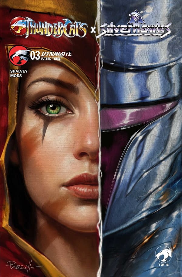 Cover image for ThunderCats x SilverHawks #3