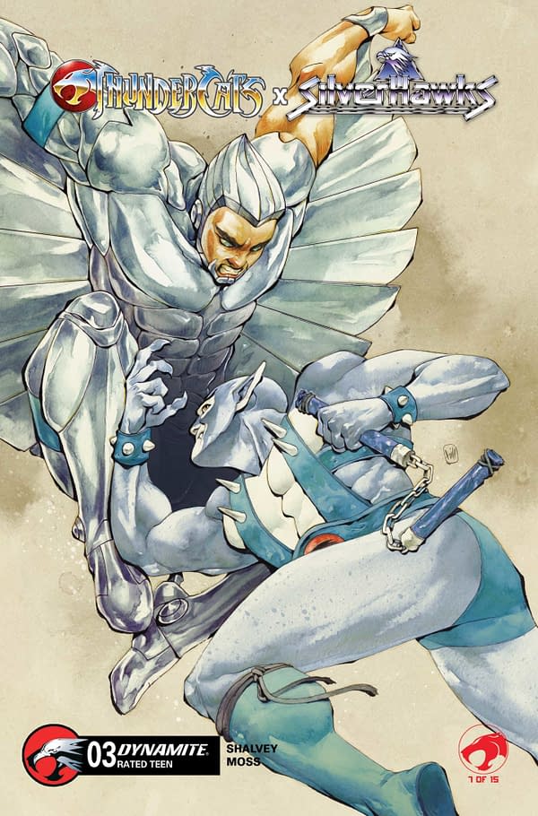Cover image for ThunderCats x SilverHawks #3