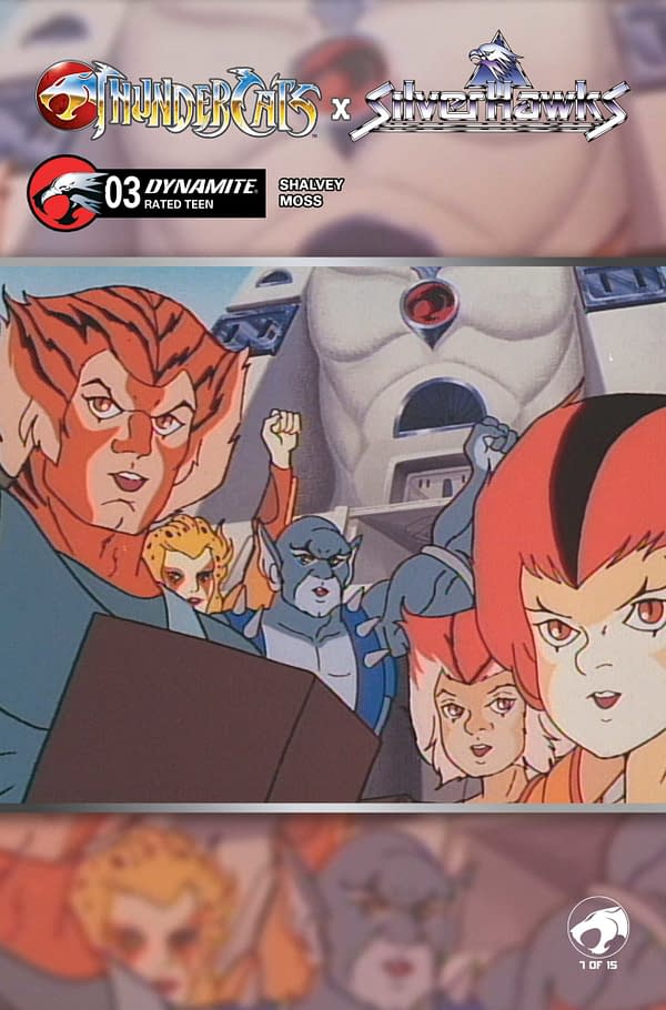 Cover image for ThunderCats x SilverHawks #3