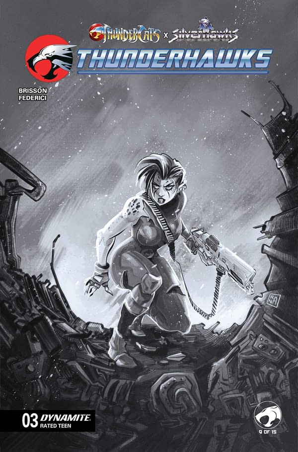 Cover image for ThunderCats x SilverHawks: ThunderHawks #3