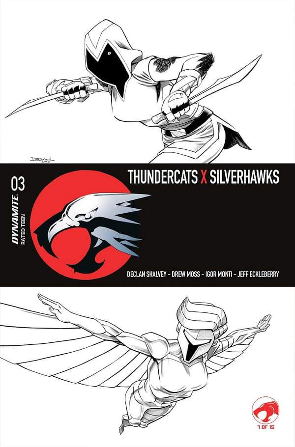 Cover image for ThunderCats x SilverHawks #3