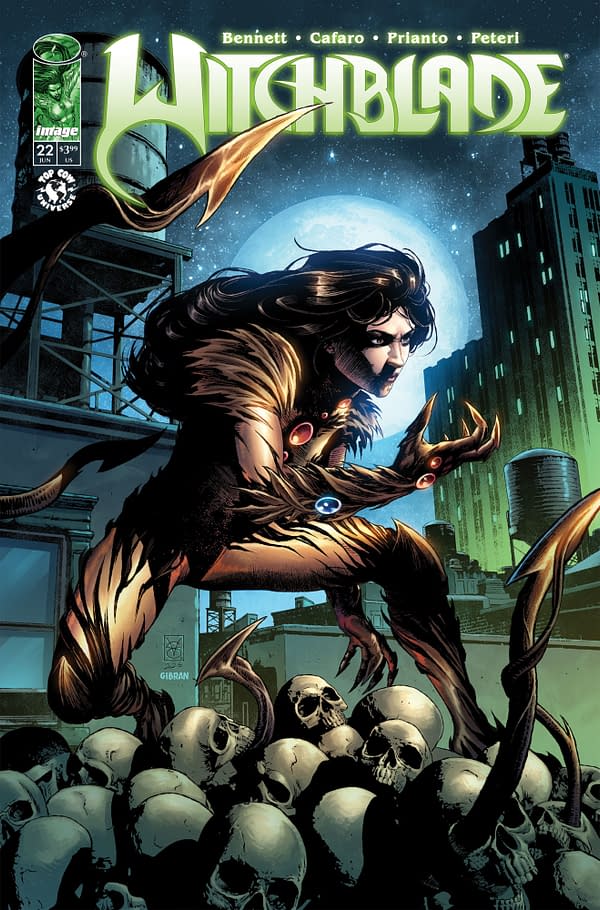 Cover image for Witchblade #22