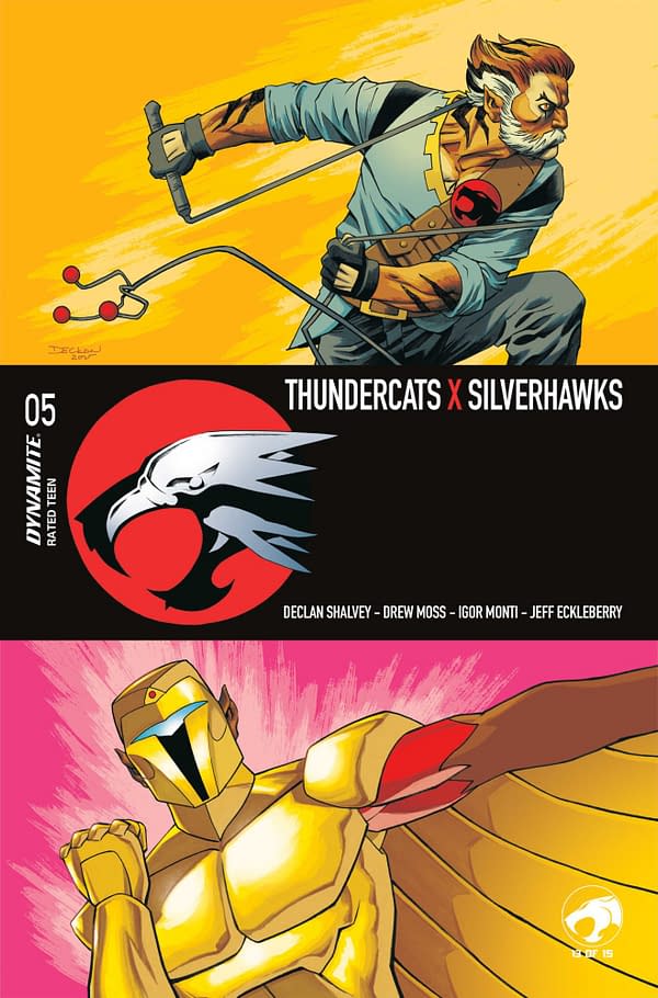 Cover image for ThunderCats x SilverHawks #5