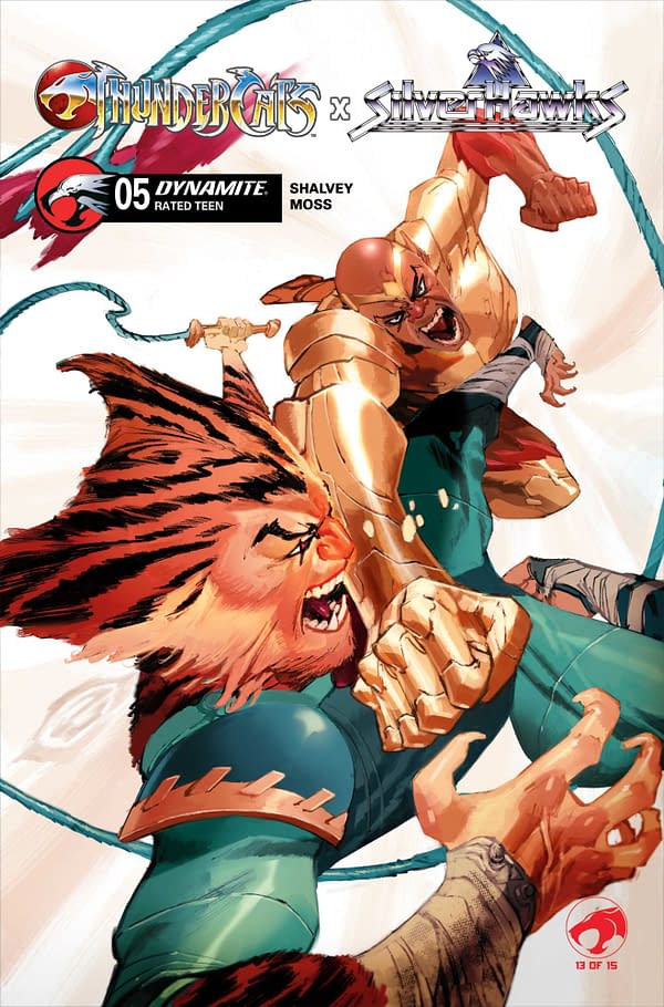 Cover image for ThunderCats x SilverHawks #5
