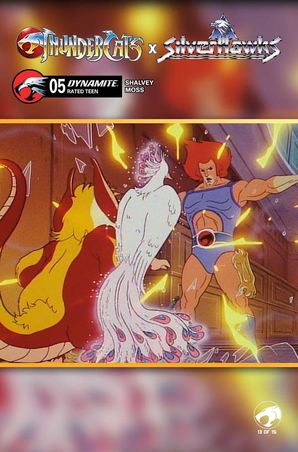 Cover image for ThunderCats x SilverHawks #5