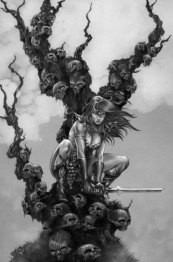 Cover image for Red Sonja: She-Devil with a Sword #5