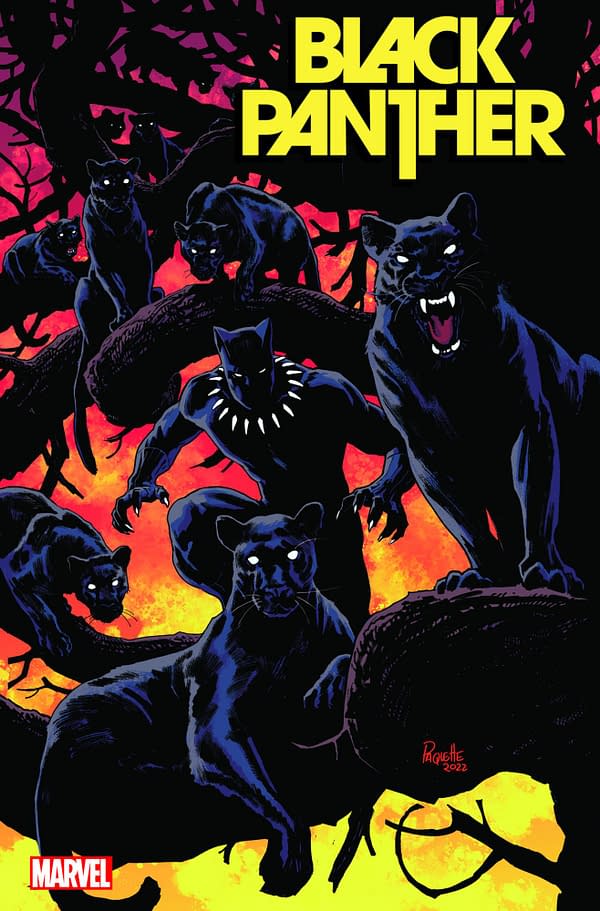 Cover image for BLACK PANTHER 8 PAQUETTE VARIANT