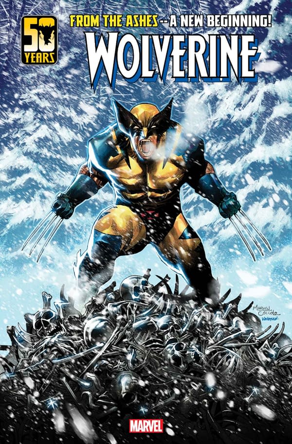 Cover image for WOLVERINE #1 MARTIN COCCOLO COVER