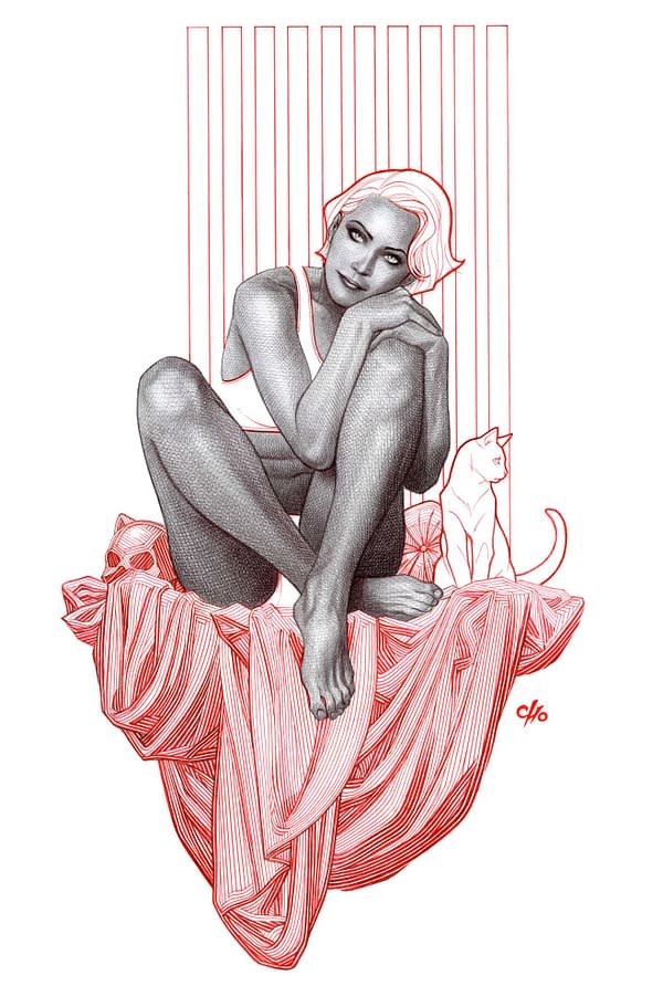 Cover image for Catwoman #79