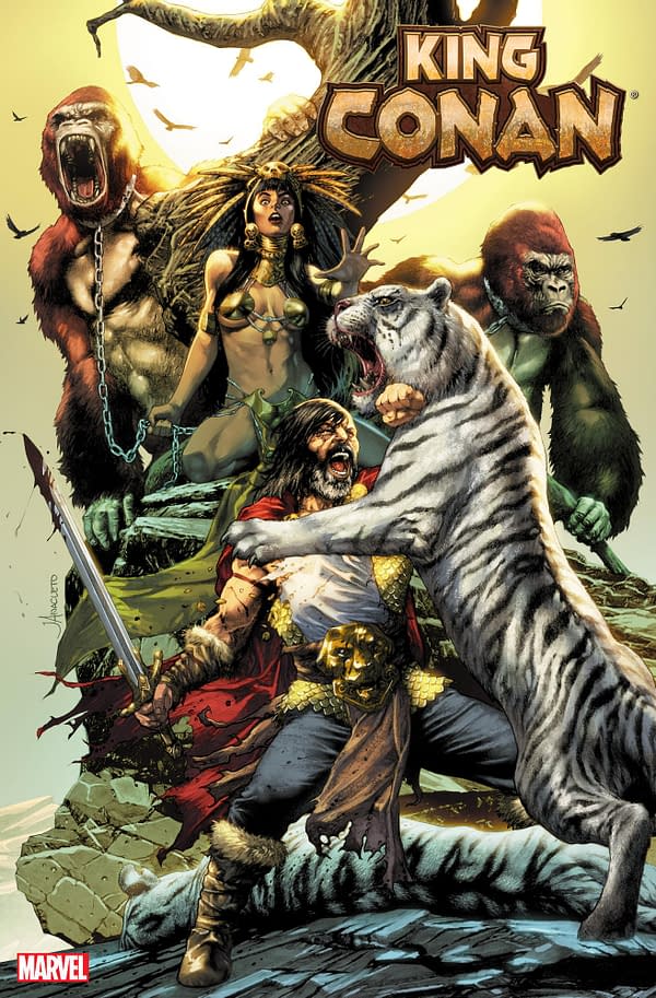 Cover image for KING CONAN 3 ANACLETO VARIANT