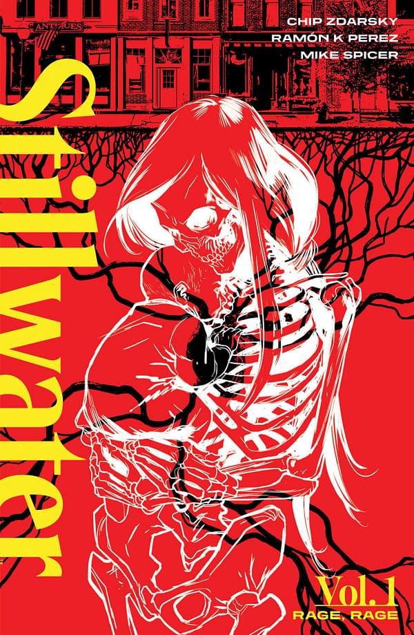 Cover image for STILLWATER BY ZDARSKY & PEREZ TP VOL 01 (JAN210116) (MR)