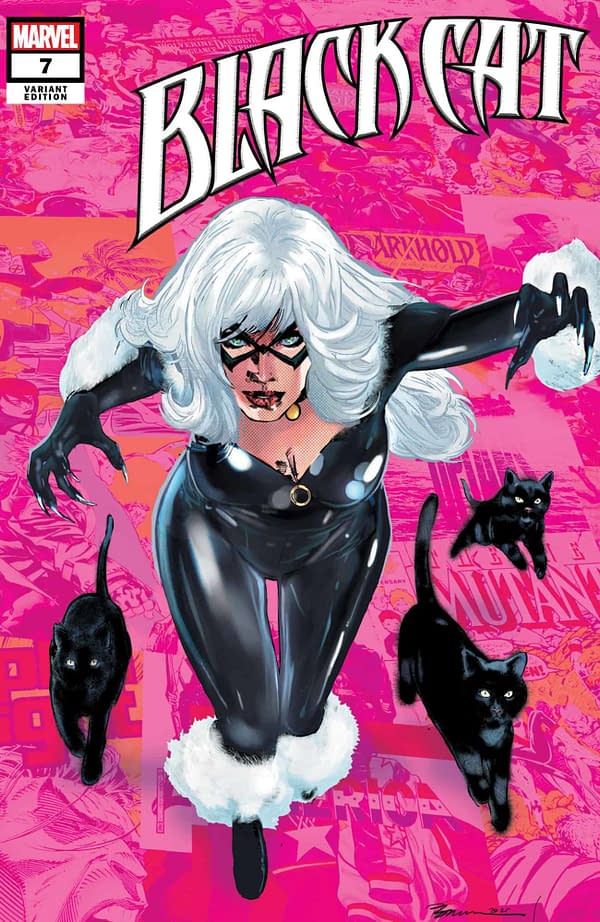 A History Of Black Cat