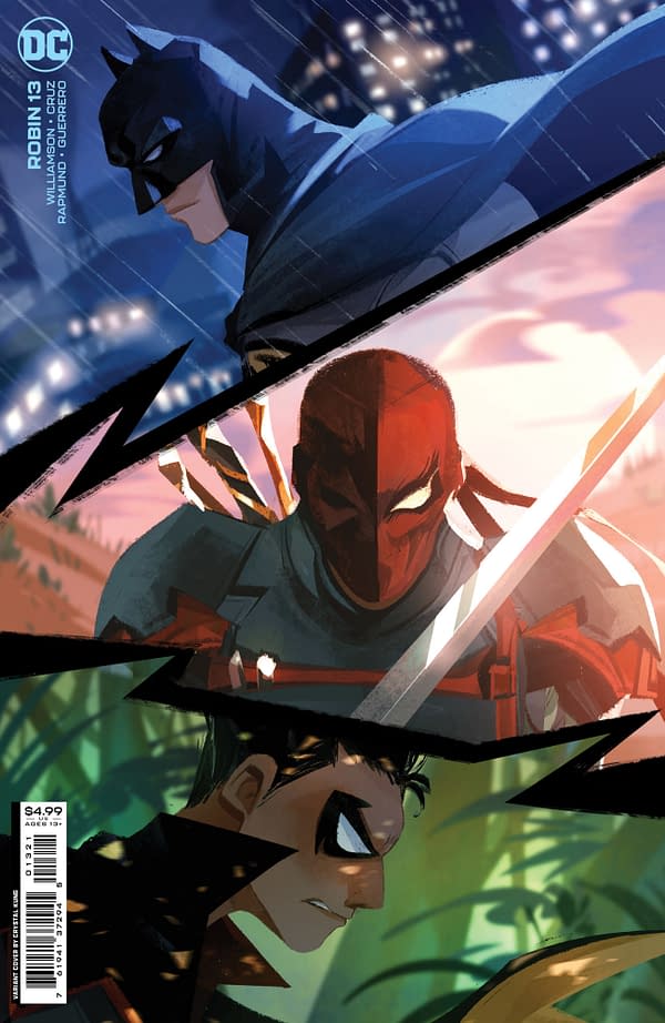 Cover image for Robin #13