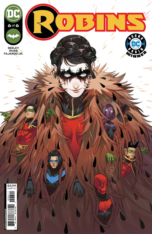 Cover image for Robins #6