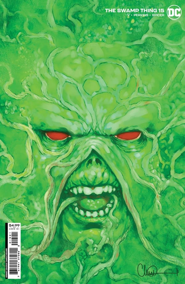Cover image for Swamp Thing #15