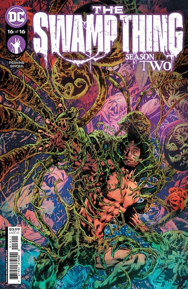 Cover image for Swamp Thing #16