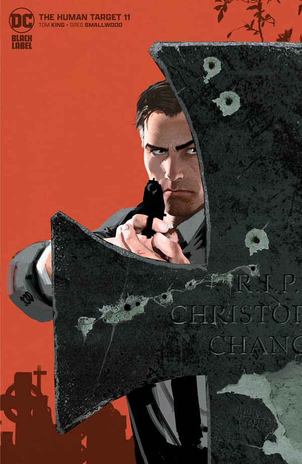 Cover image for Human Target #11