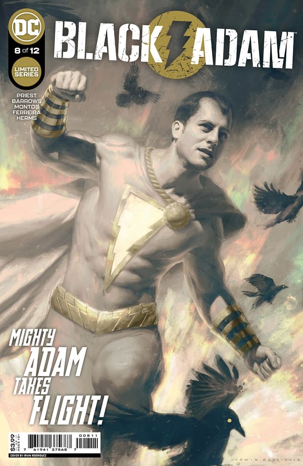 Cover image for Black Adam #8