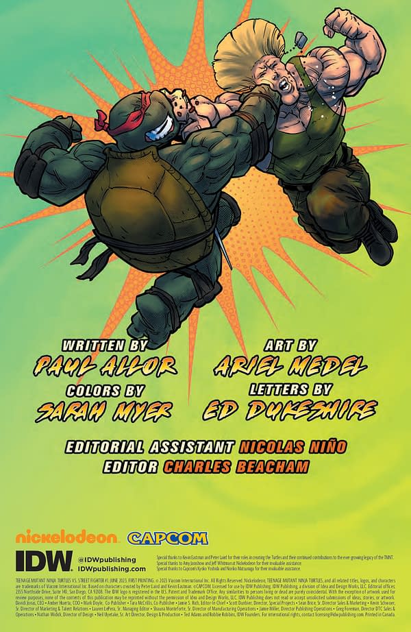 Interior preview page from Teenage Mutant Ninja Turtles vs. Street Fighter #1