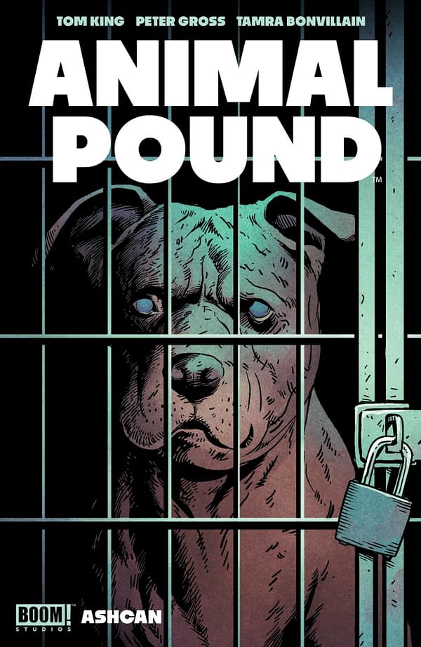 Retailers Can Unlock Clay Mann Variant of Animal Pound #1 With Ashcan