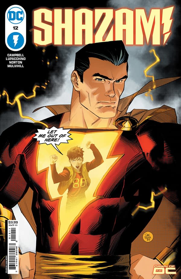 Cover image for Shazam #12